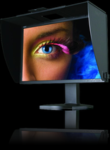 Spectraview 241 reference monitor